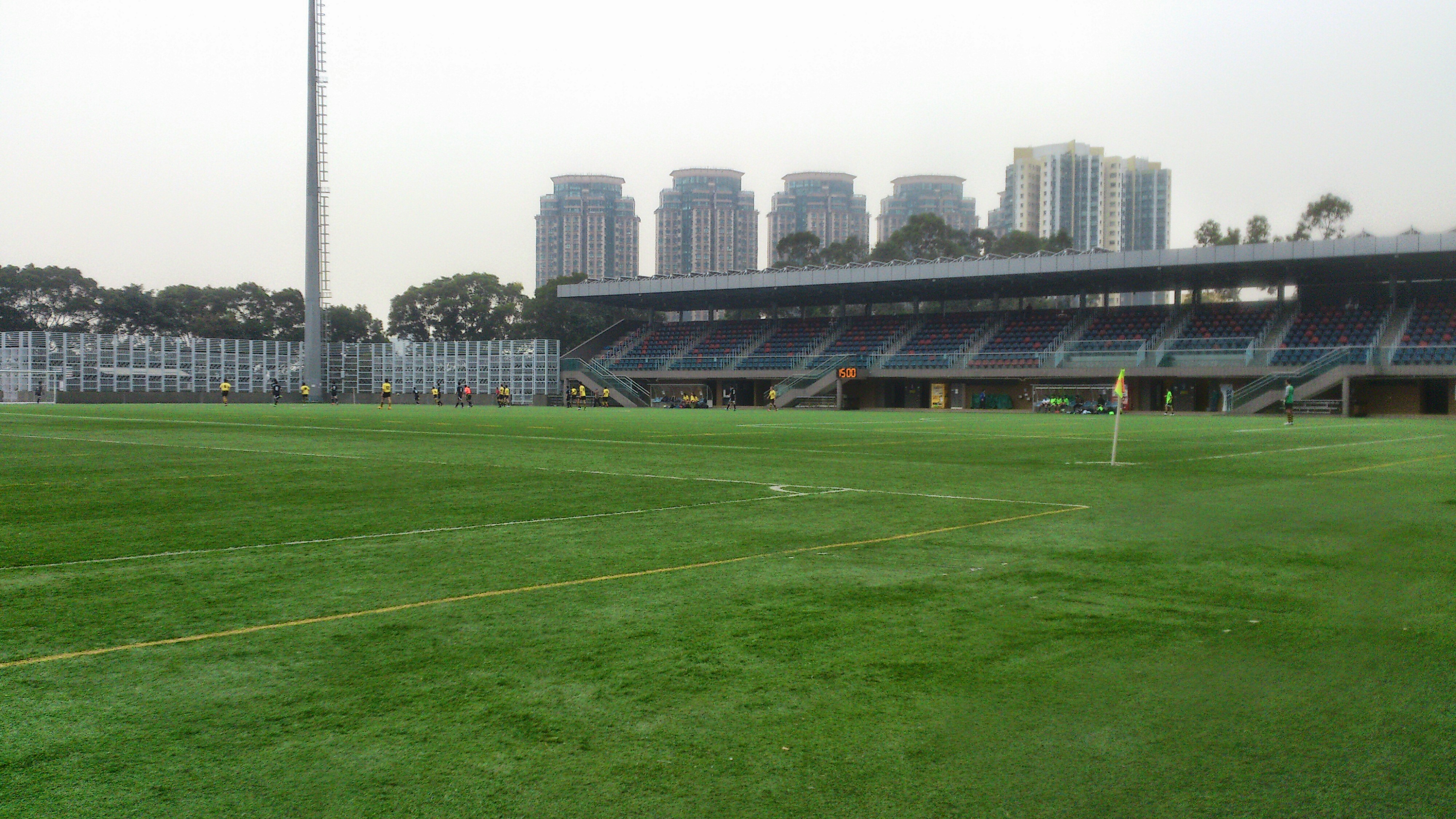 hk-pokongvillageroadpark-turfpitches.jpg